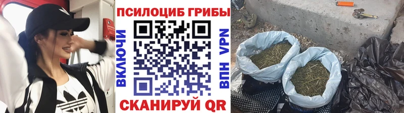 купить наркотики сайты  Теберда  Псилоцибиновые грибы Magic Shrooms 