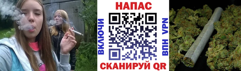 Конопля SATIVA & INDICA  OMG tor  Теберда  купить закладку 